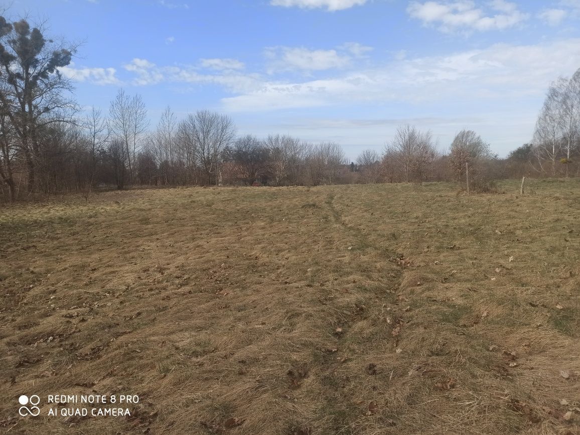 Działka rolno-budowlana Miłomłyn, ul. Ignacego Potockiego. Zdjęcie 7
