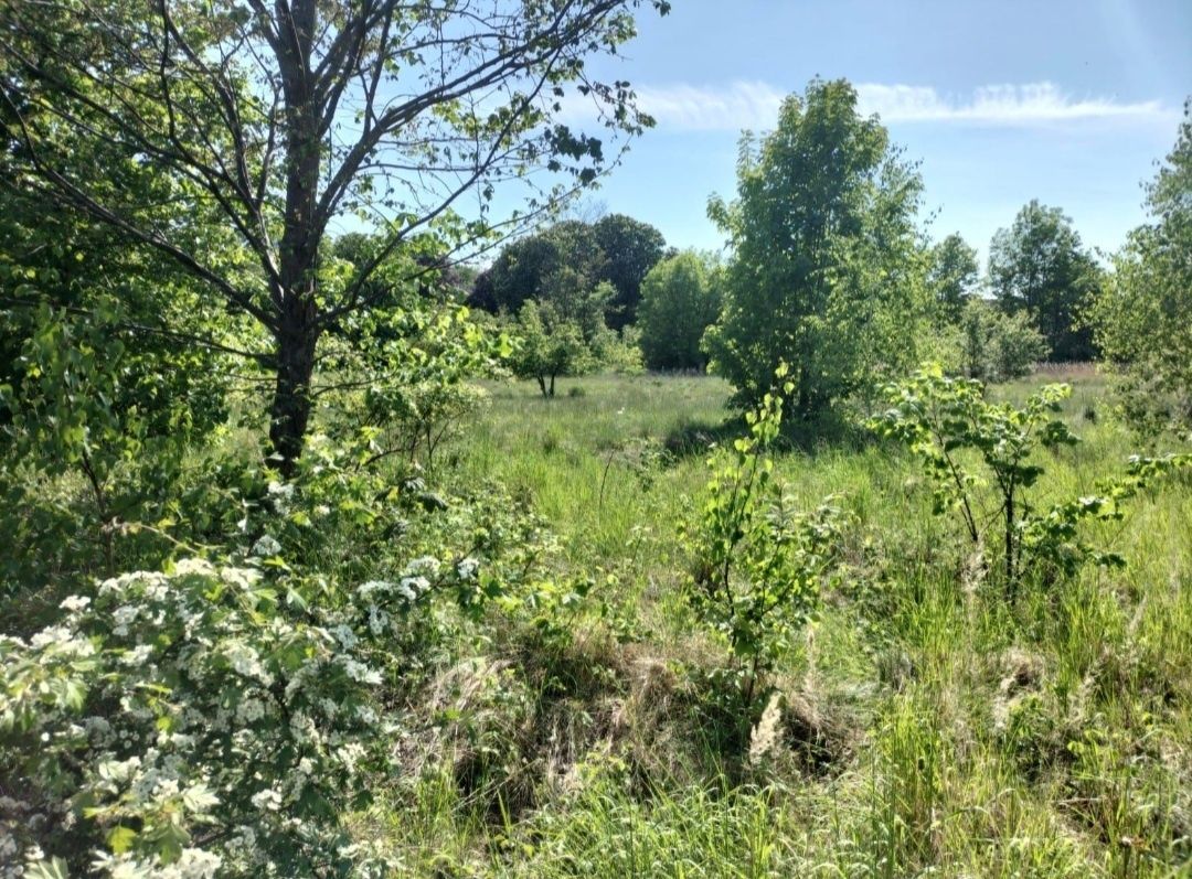 Działka budowlana Łysiny. Zdjęcie 3