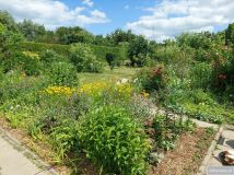 Działka rod Śrem, ul. Józefa Chełmońskiego. Zdjęcie 3