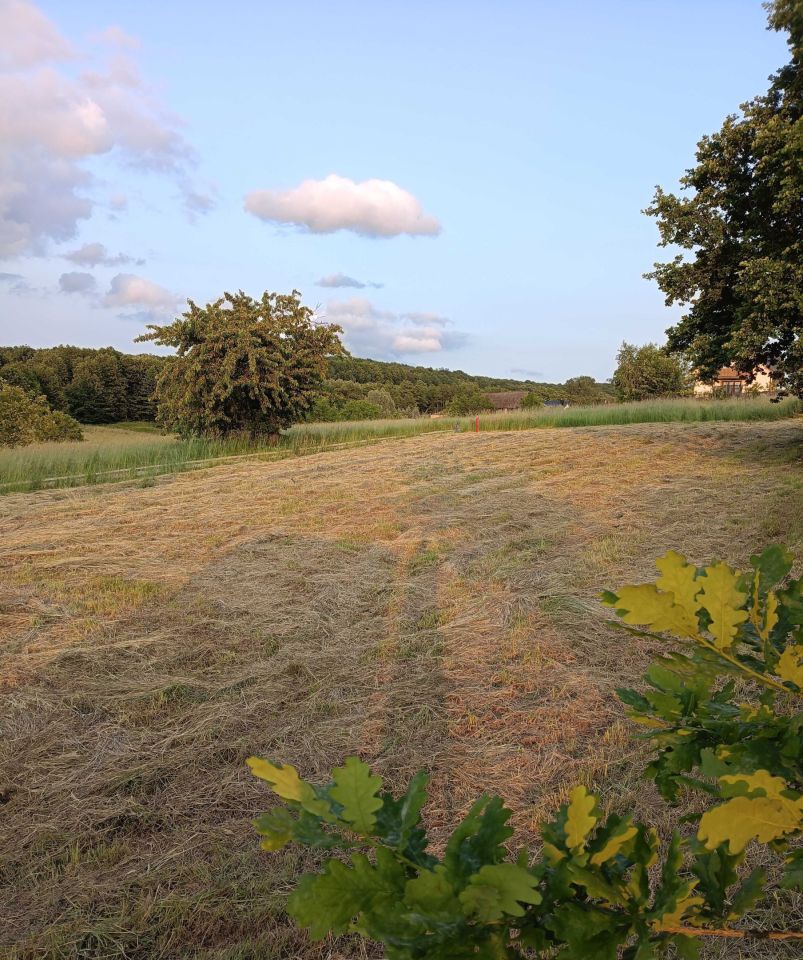 Działka budowlana Rzeszów Słocina, ul. św. Marcina