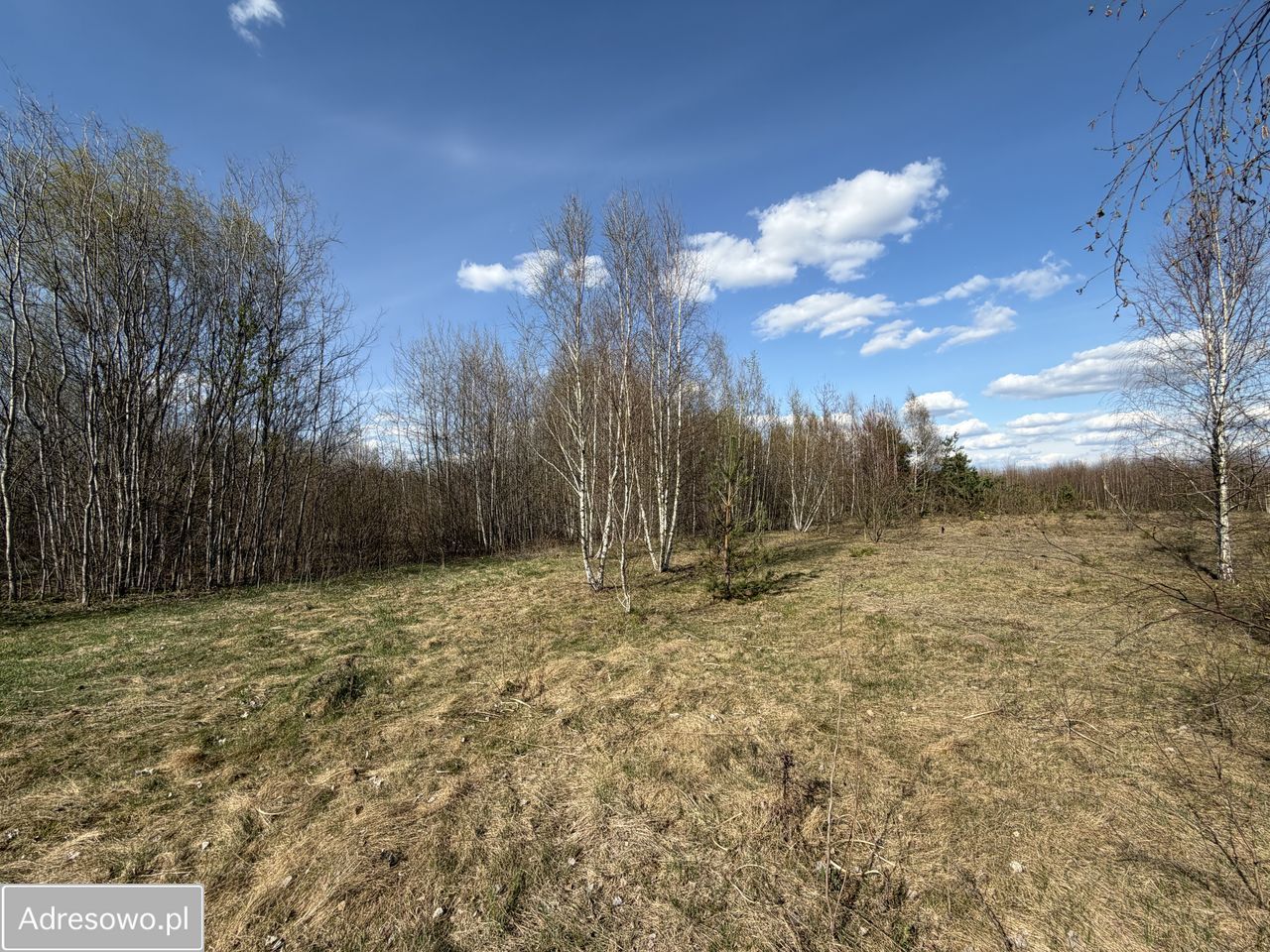 Działka budowlana Łosia Wólka. Zdjęcie 11
