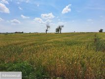 Działka budowlana Domachowo. Zdjęcie 4