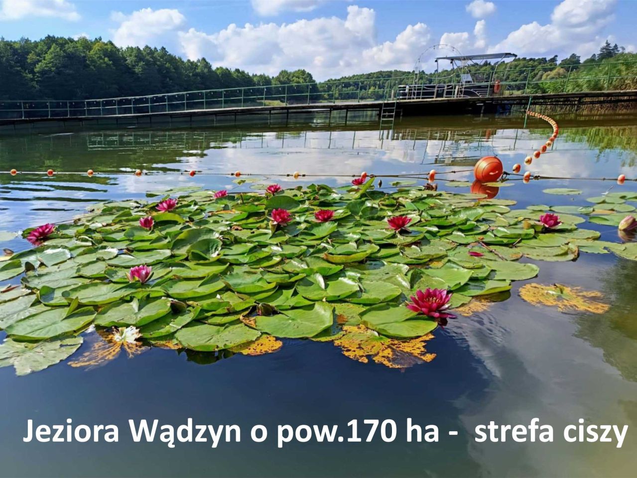 Działka budowlana Wądzyn. Zdjęcie 3