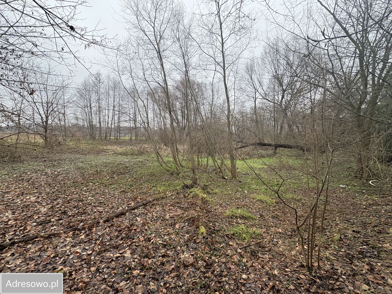 Działka budowlana Siennica, ul. gen. Władysława Sikorskiego. Zdjęcie 6