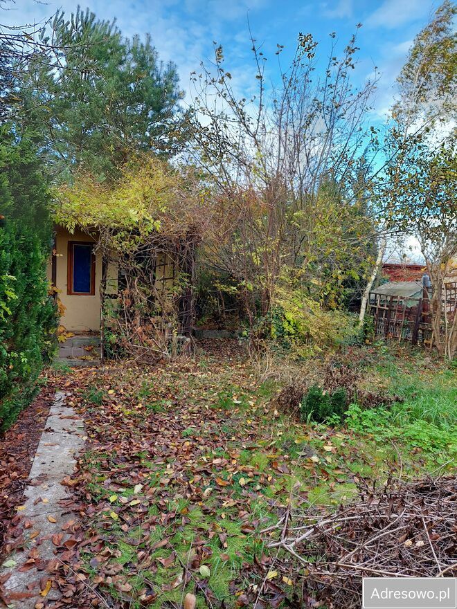 Działka rod Osiek. Zdjęcie 2