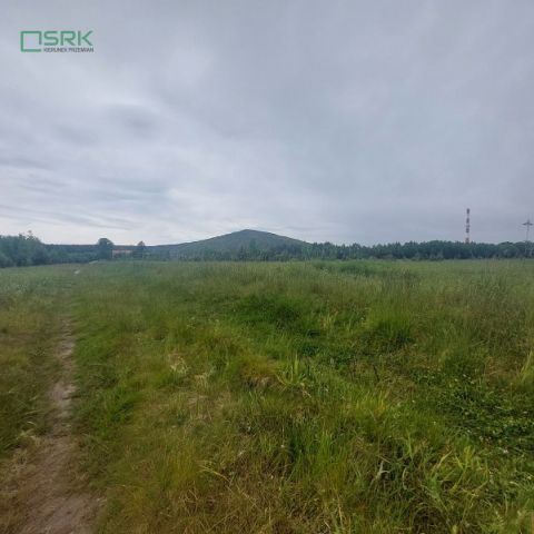 Działka inna Rudziczka, ul. Woszczycka. Zdjęcie 5