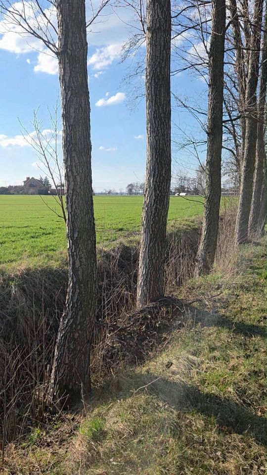 Działka budowlana Szetlew. Zdjęcie 6