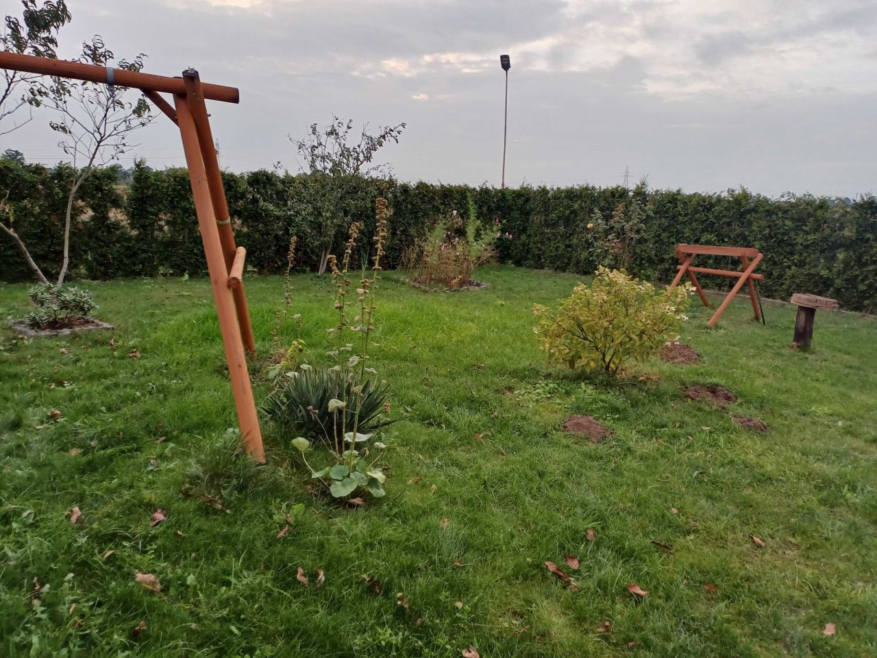 Działka rod Mrocza, ul. marsz. Józefa Piłsudskiego. Zdjęcie 4