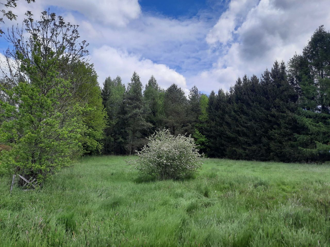 Działka budowlana Komarno. Zdjęcie 6