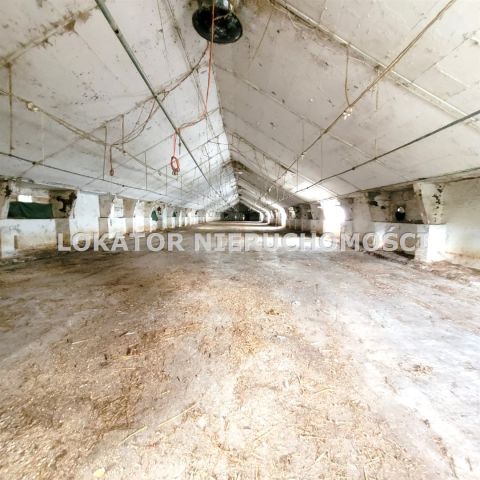 Hala/magazyn Rutwica. Zdjęcie 10