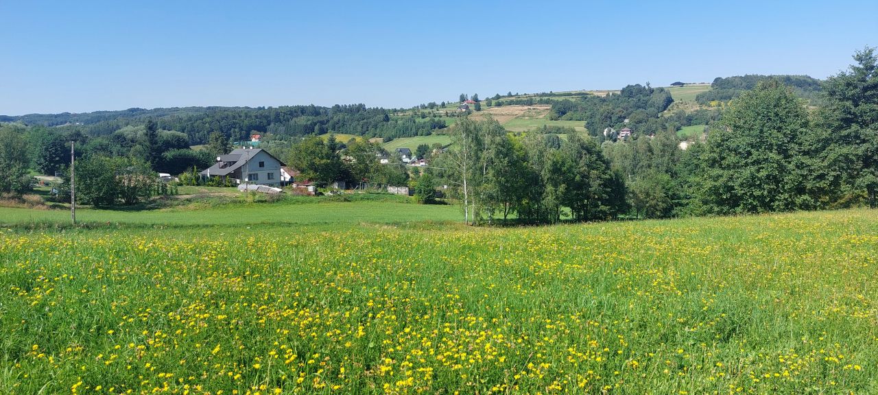 Działka budowlana Borek Stary Podklasztor