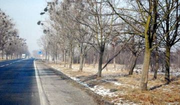 Działka inwestycyjna Stanowice