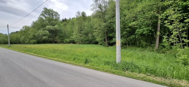 Działka budowlana Przedmieście Czudeckie Wola Czudecka. Zdjęcie 6