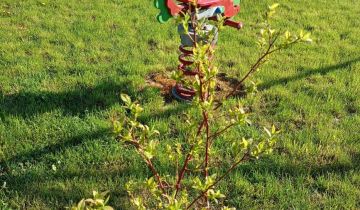 Działka rod Opoczno, ul. Kuligowska