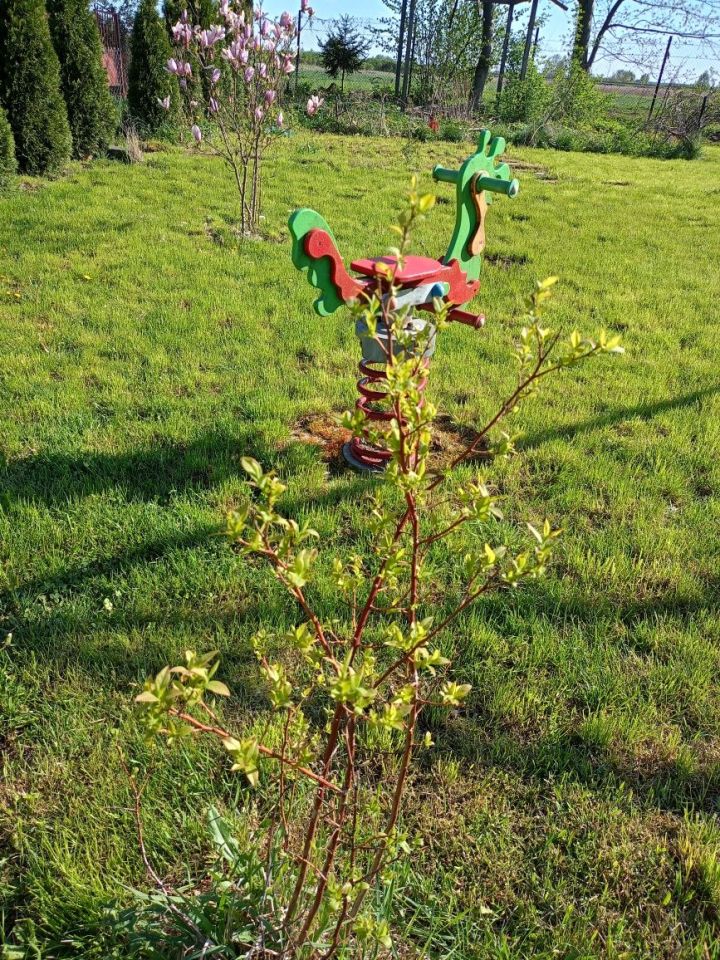 Działka rod Opoczno, ul. Kuligowska. Zdjęcie 2
