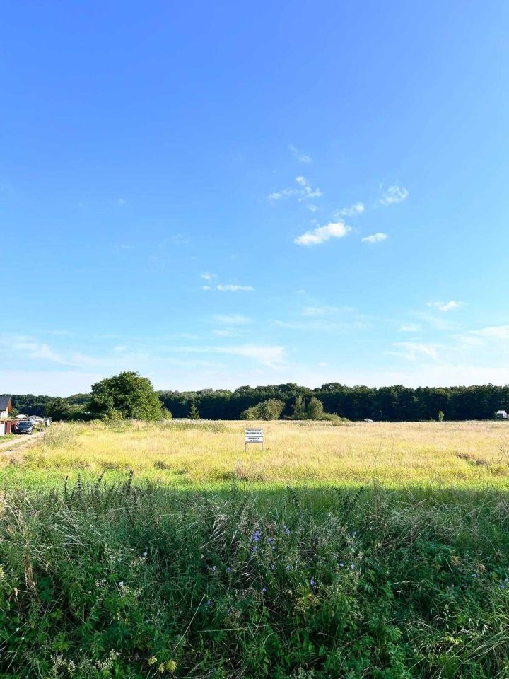 Działka rolno-budowlana Pyrzyce, ul. Tadeusza Kościuszki. Zdjęcie 7