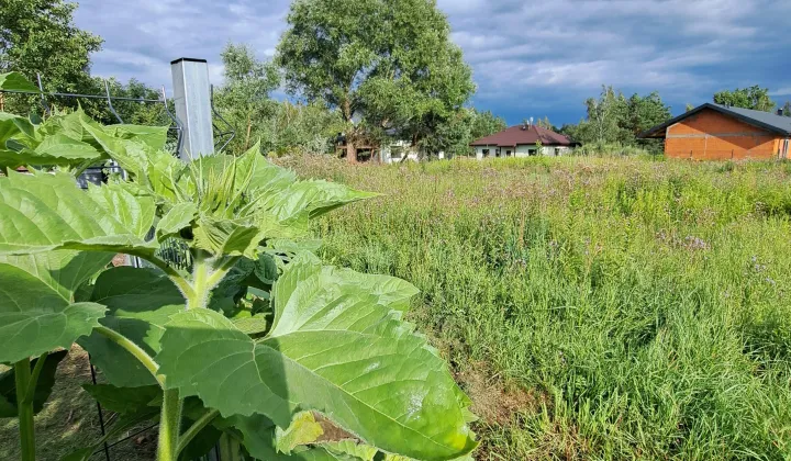 Działka budowlana Ławki, ul. Główna