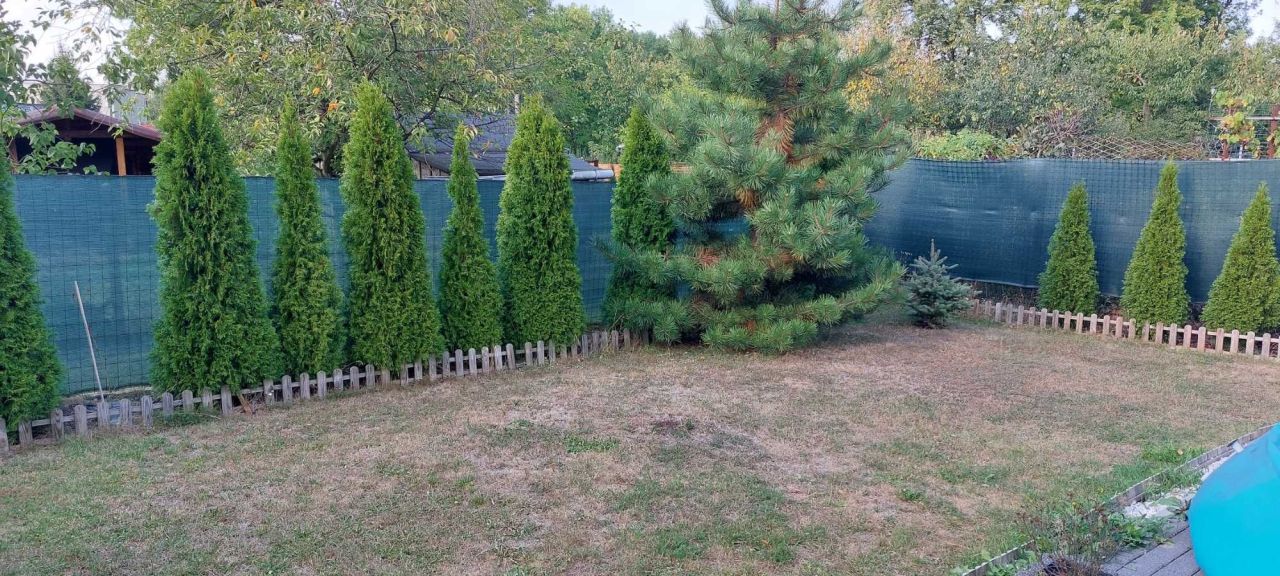 Działka rod Czeladź Piaski. Zdjęcie 3
