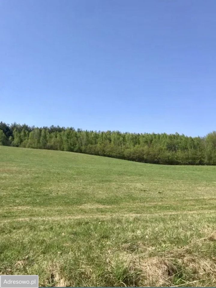 Działka rolno-budowlana Graniczna Wieś, ul. Jarzębinowa. Zdjęcie 7