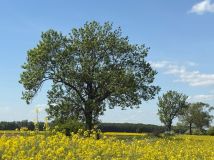 Działka budowlana Żelazna. Zdjęcie 1