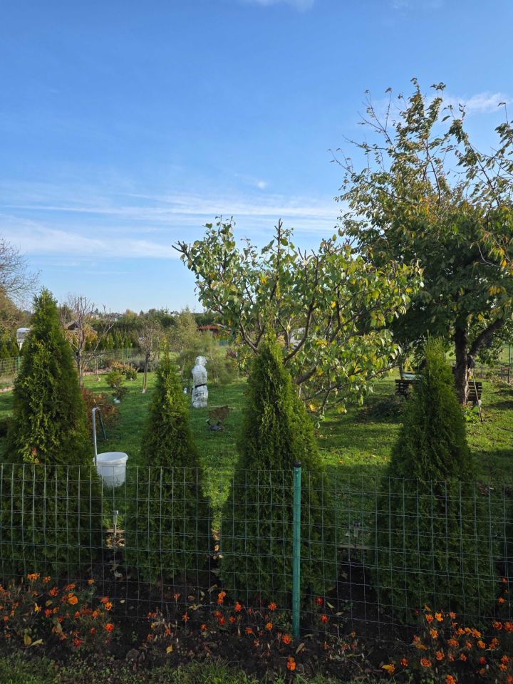 Działka rod Rydlewo. Zdjęcie 4