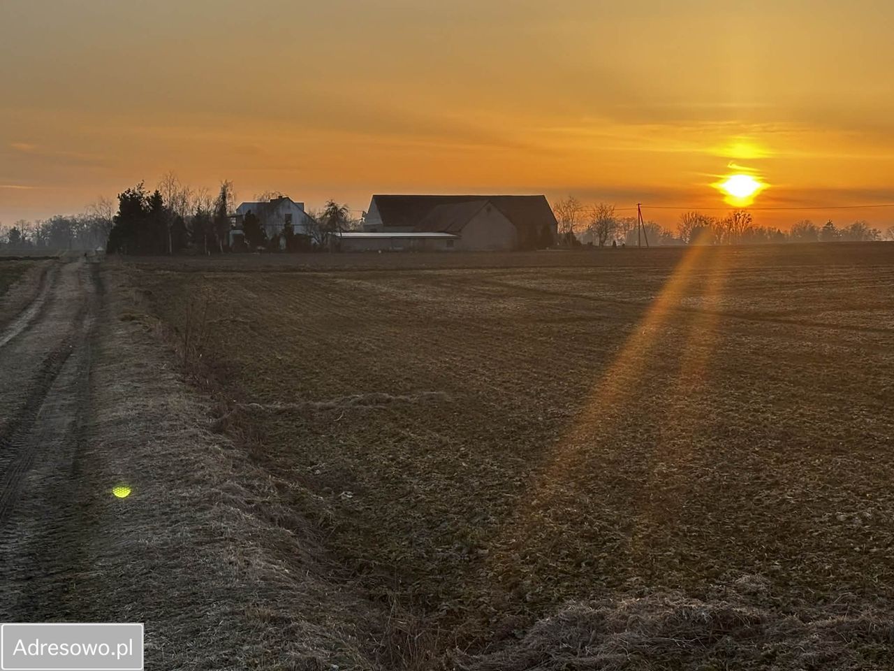 Działka rolna Trzebcz Królewski. Zdjęcie 4