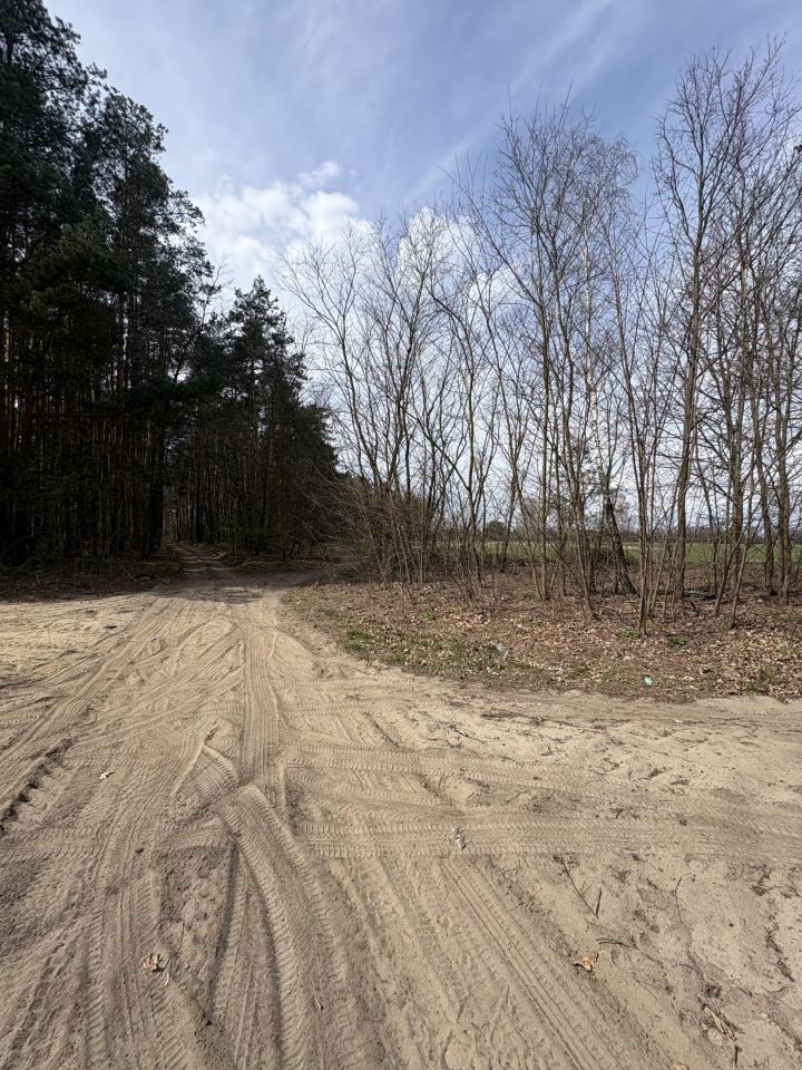 Działka rolno-budowlana Nowe Ręczaje. Zdjęcie 4