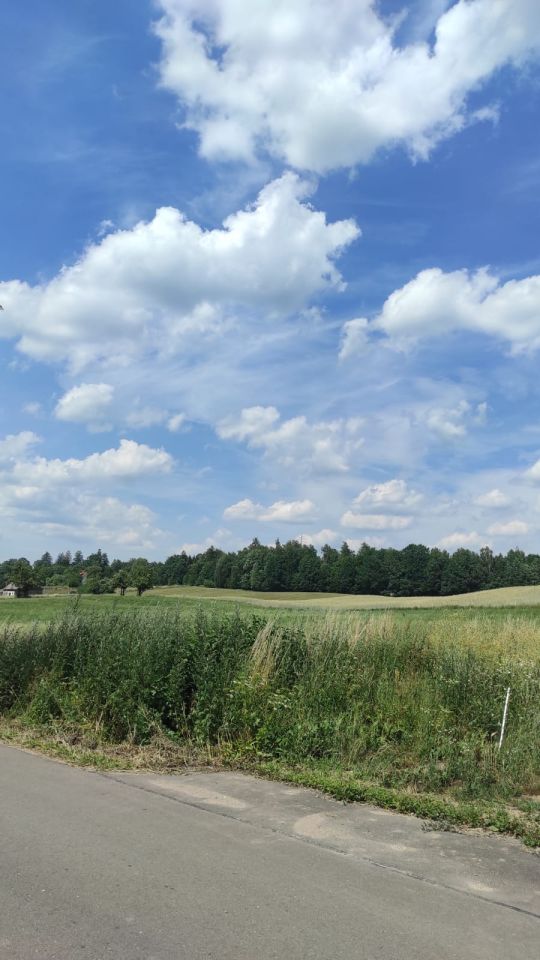 dom wolnostojący, 2 pokoje Jurkowo. Zdjęcie 4