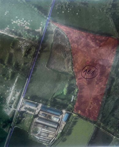 Działka rolna Żencin. Zdjęcie 1