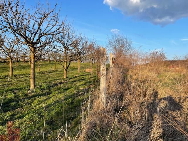 Działka budowlana Zerwana. Zdjęcie 4