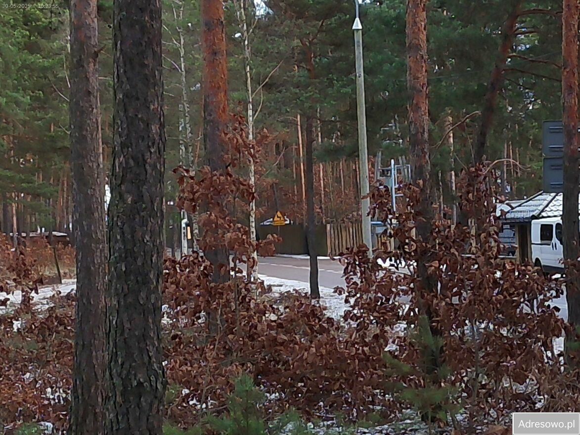 Działka leśna Marynino. Zdjęcie 12