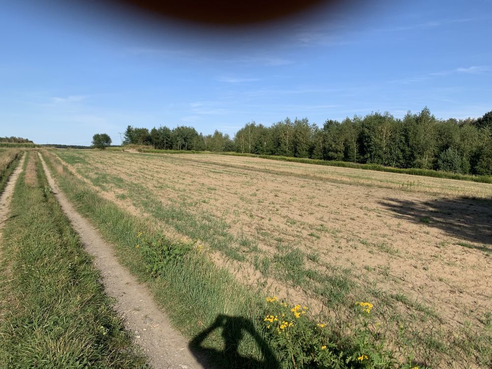 Działka inwestycyjna Skrzyszów. Zdjęcie 2