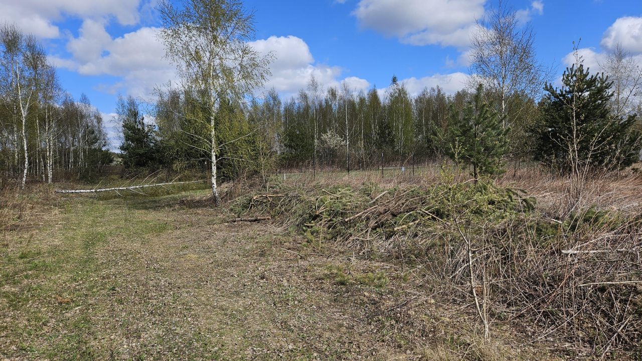 Działka budowlana Załuski, ul. Mazowiecka. Zdjęcie 6