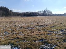 Działka rolno-budowlana Kawczyce. Zdjęcie 3