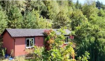 Działka rolno-budowlana Paszyn