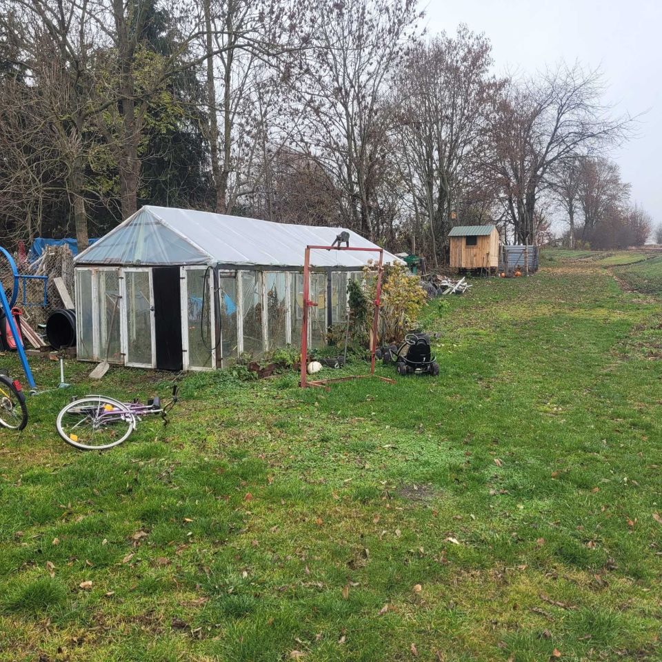 siedlisko Pieniany. Zdjęcie 8