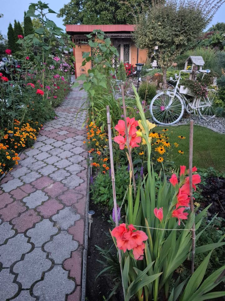 Działka rod Ostrów Wielkopolski. Zdjęcie 6