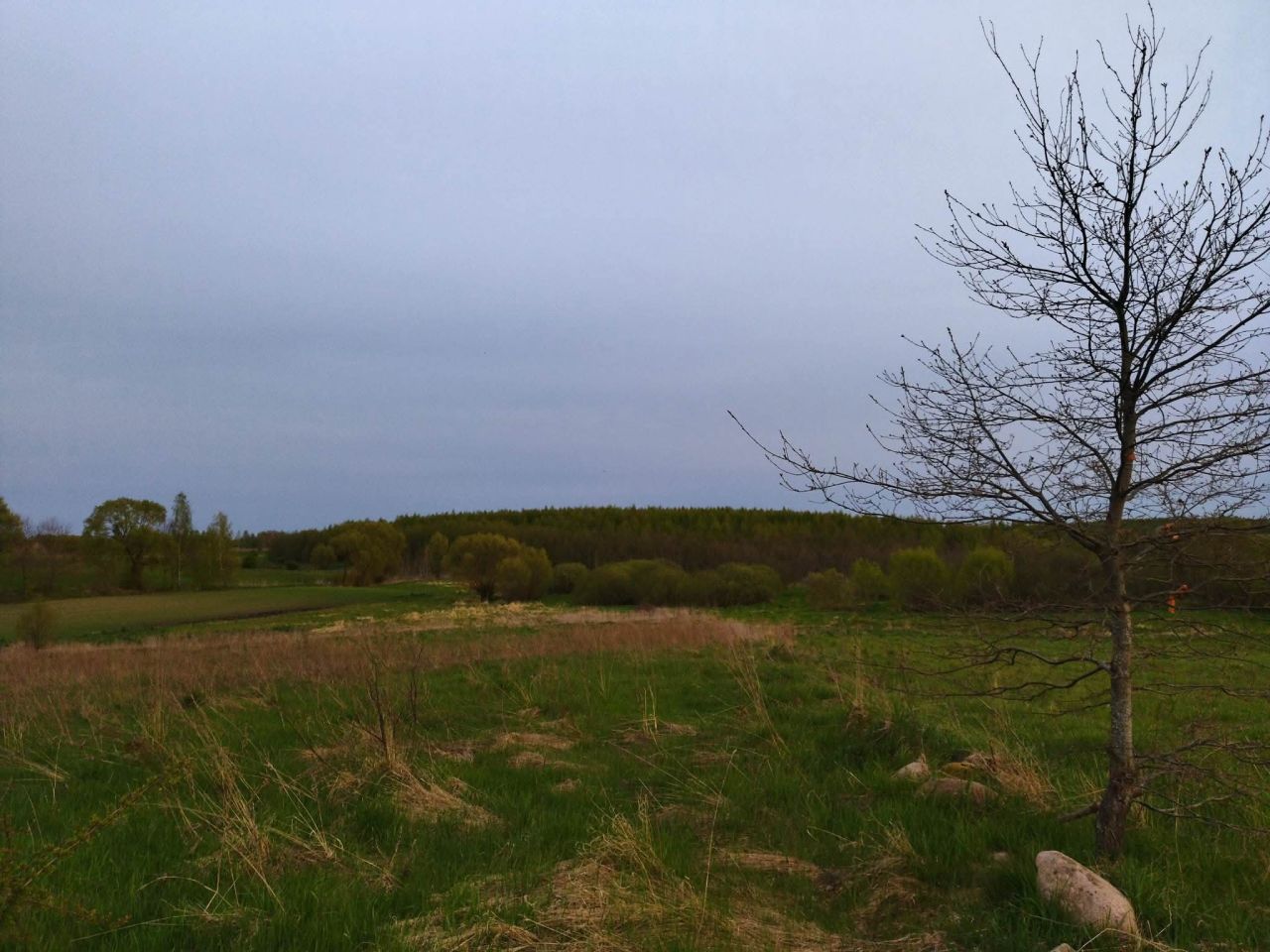 Działka budowlana Lesiska. Zdjęcie 11