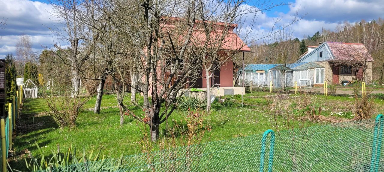 Działka rod Polkowice. Zdjęcie 4