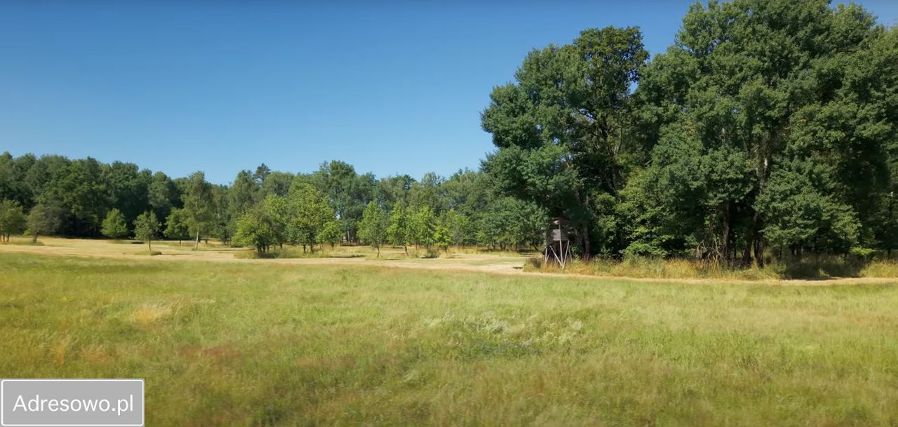 Działka rolna Dobrochów. Zdjęcie 9