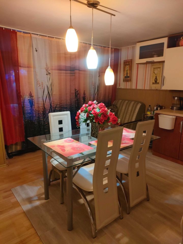 Działka rod Żurczyn. Zdjęcie 5