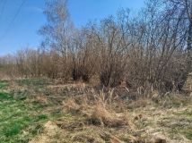 Działka rolna Adamowice, ul. Polna. Zdjęcie 4