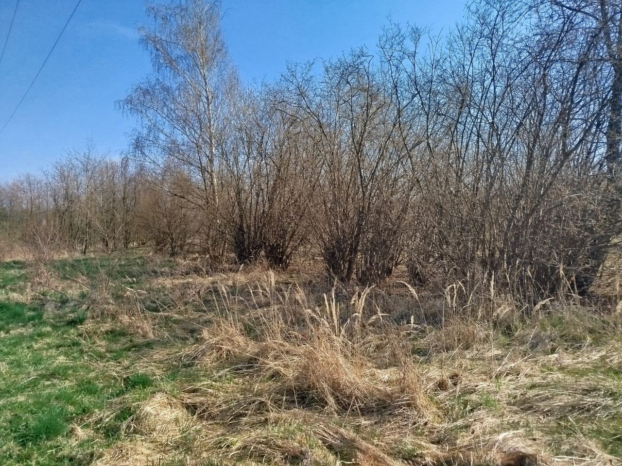 Działka rolna Adamowice, ul. Polna. Zdjęcie 5