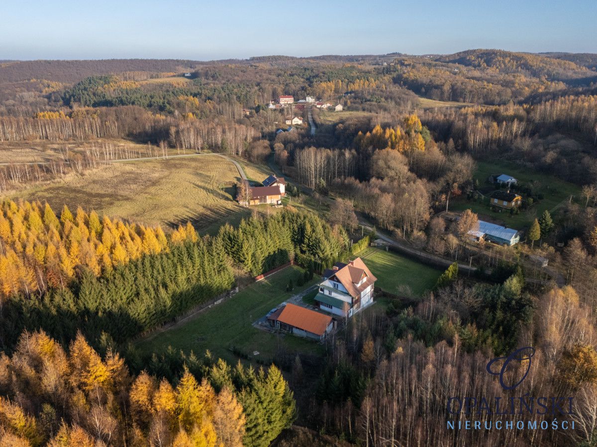 dom wolnostojący, 10 pokoi Hucisko Jawornickie. Zdjęcie 25