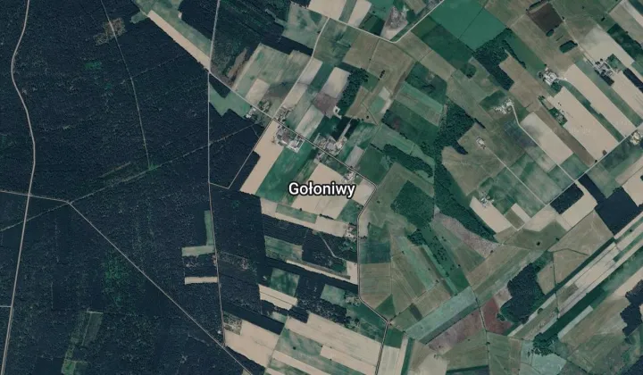 Działka rolna Gołoniwy