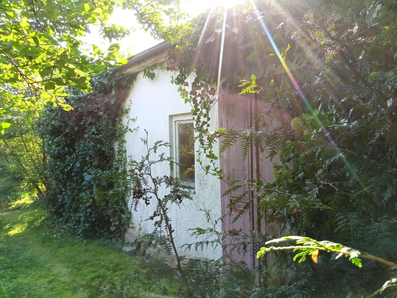 Działka rod Łódź Polesie, ul. Biegunowa. Zdjęcie 13