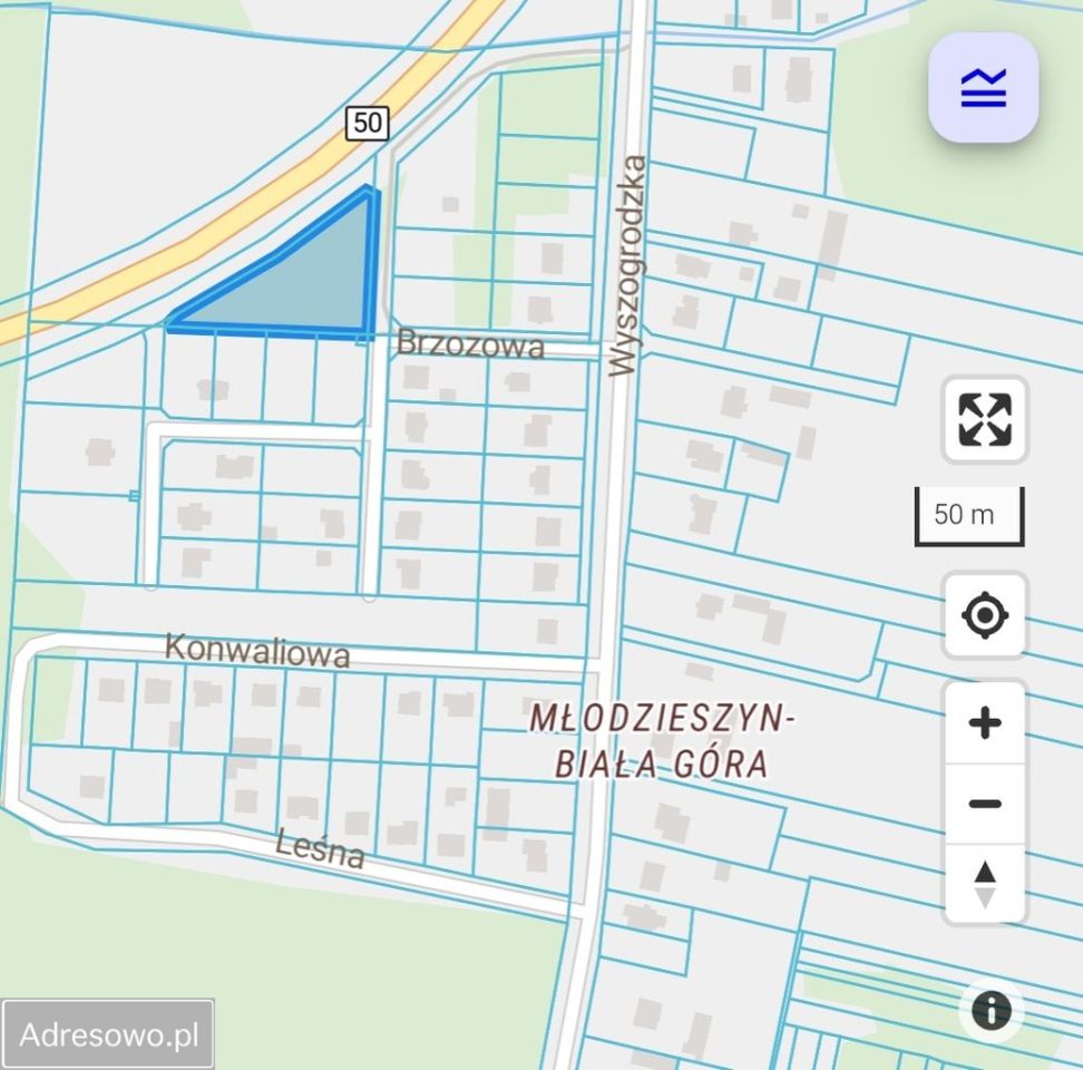 Działka budowlana Młodzieszyn, ul. Brzozowa. Zdjęcie 3