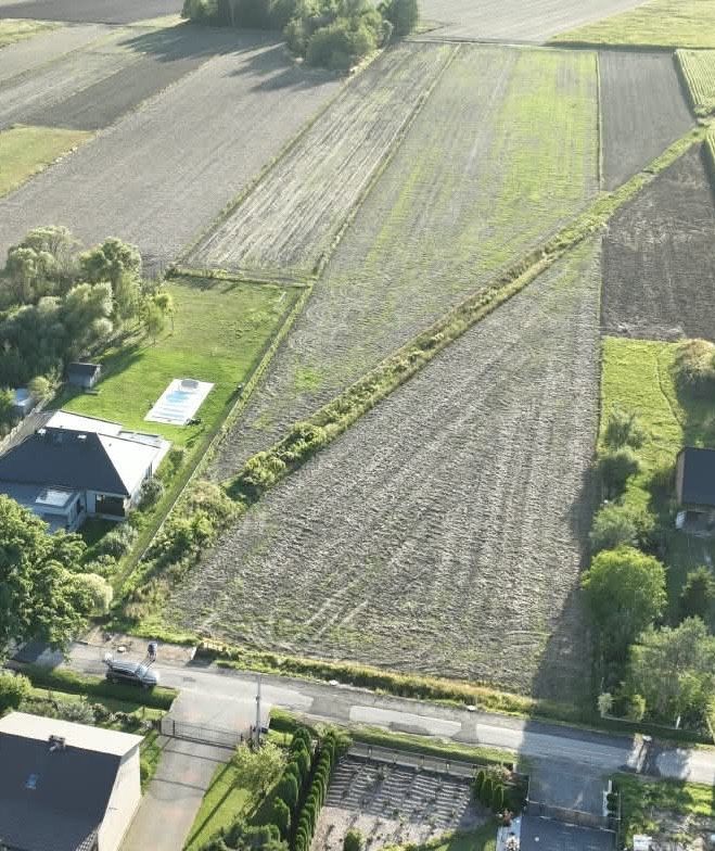 Działka rolno-budowlana Dankowice Drugie. Zdjęcie 1