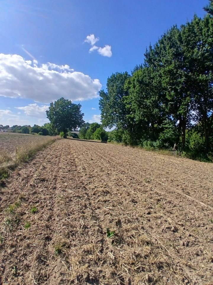 Działka rolno-budowlana Konopnica. Zdjęcie 8