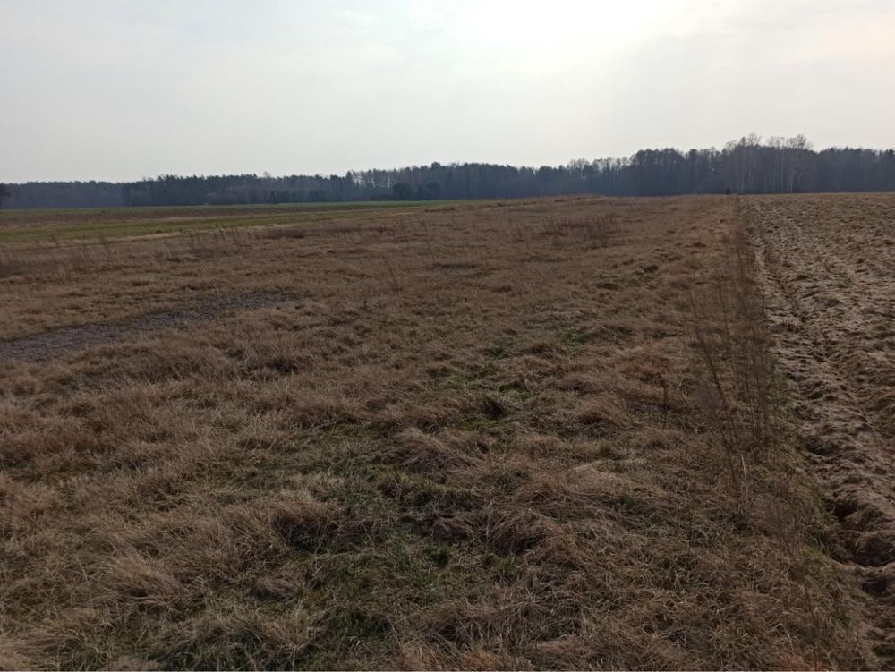 Działka inna Słupica. Zdjęcie 2
